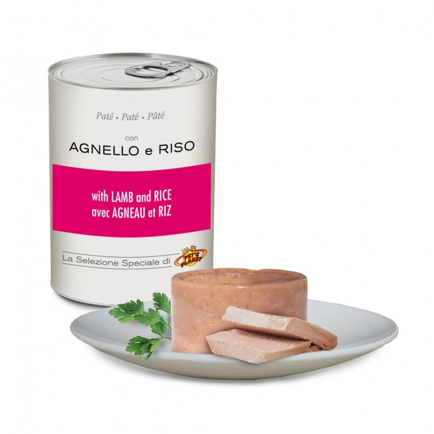 Pâté 400g