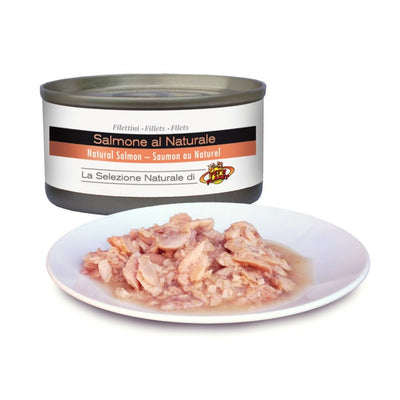 Filets de saumon 85g