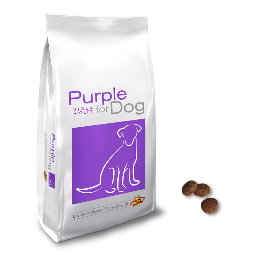 Purple pour chien - Petite taille
