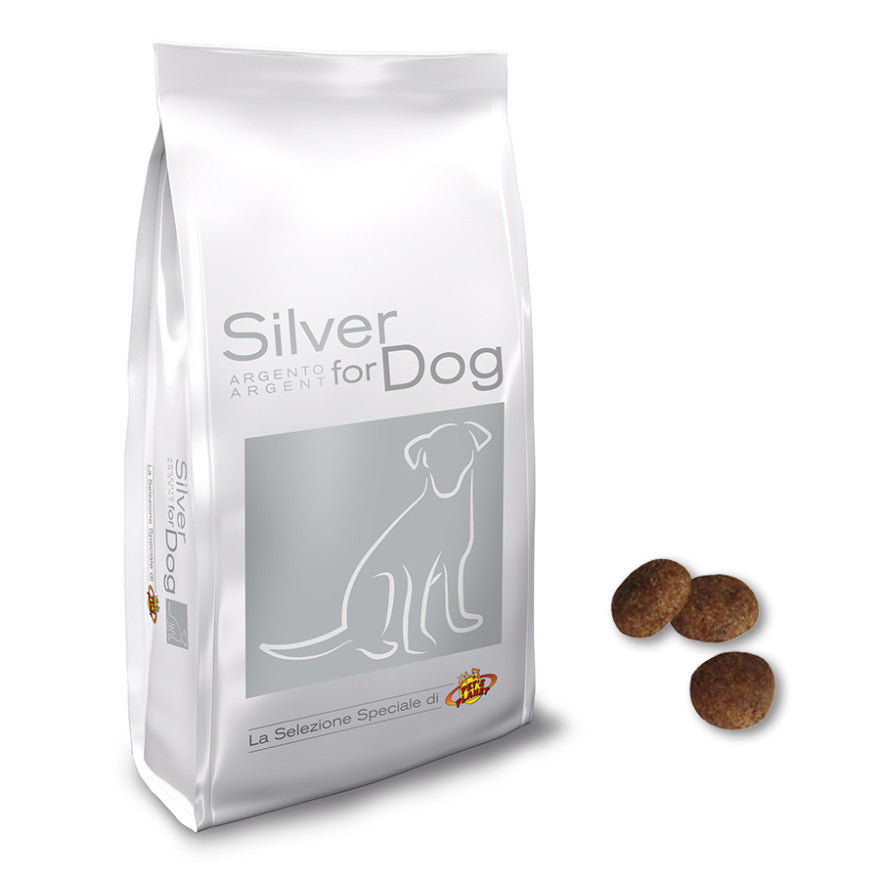 Silver pour chien