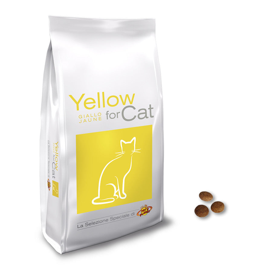 Yellow pour chat – Intérieur